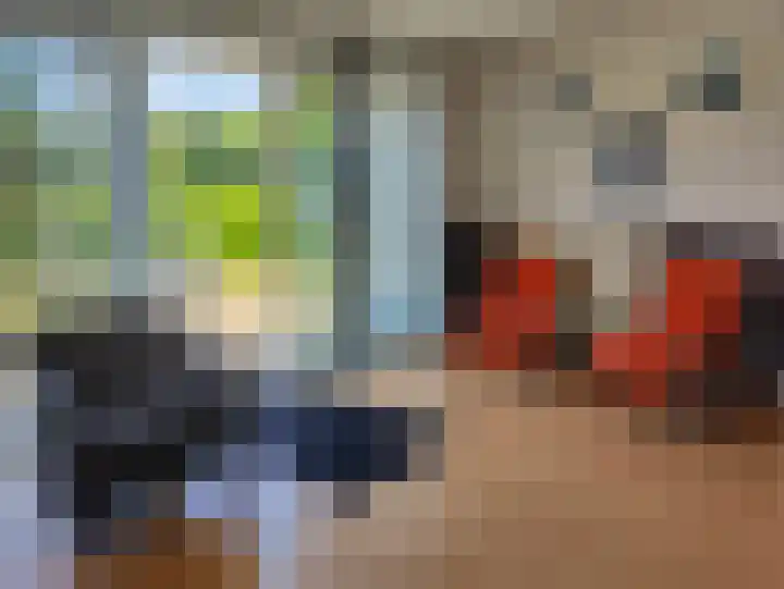 in 't Broek 5 1 Stevensweert thumbnail 7