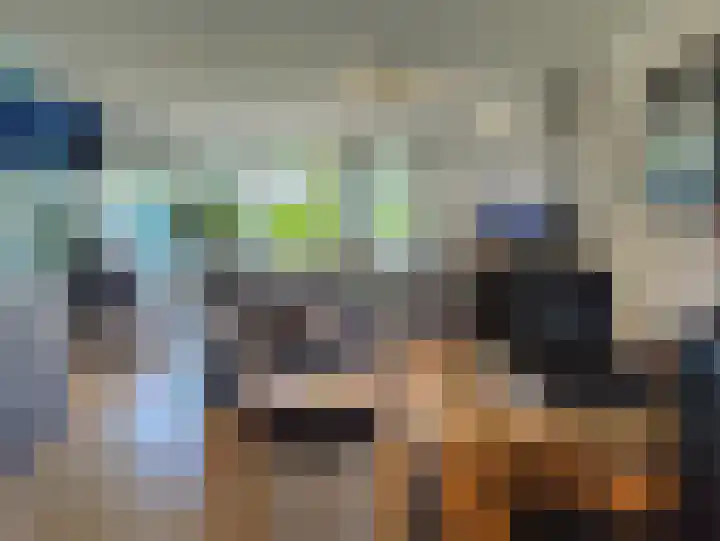 in 't Broek 5 1 Stevensweert thumbnail 8