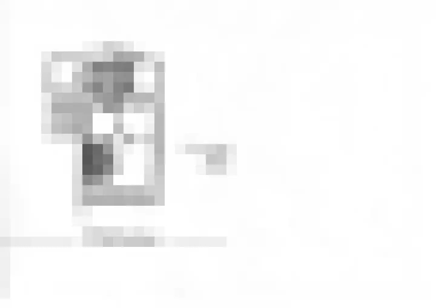 in 't Broek 5 102 Stevensweert thumbnail 36
