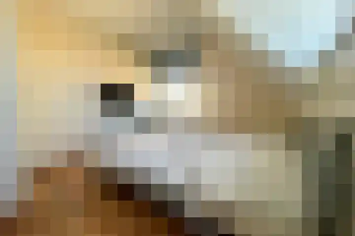 in 't Broek 5 143 Stevensweert thumbnail 13