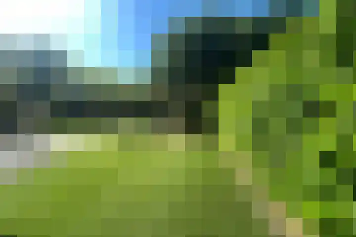 in 't Broek 5 143 Stevensweert thumbnail 21