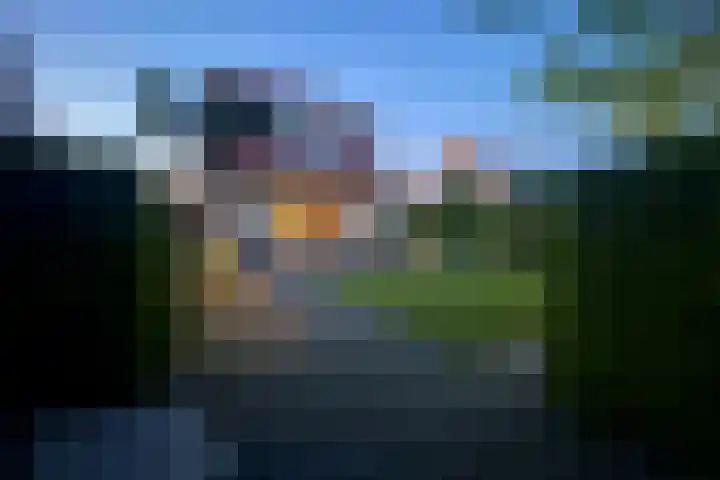 in 't Broek 5 143 Stevensweert thumbnail 28