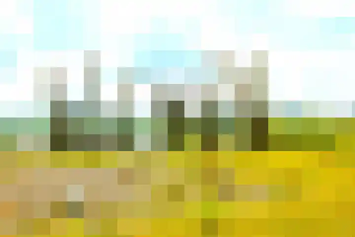 in 't Broek 5 143 Stevensweert thumbnail 32