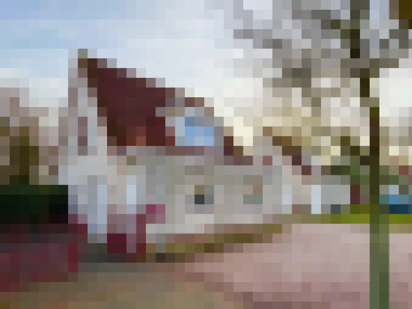 in 't Broek 5 147 in Stevensweert