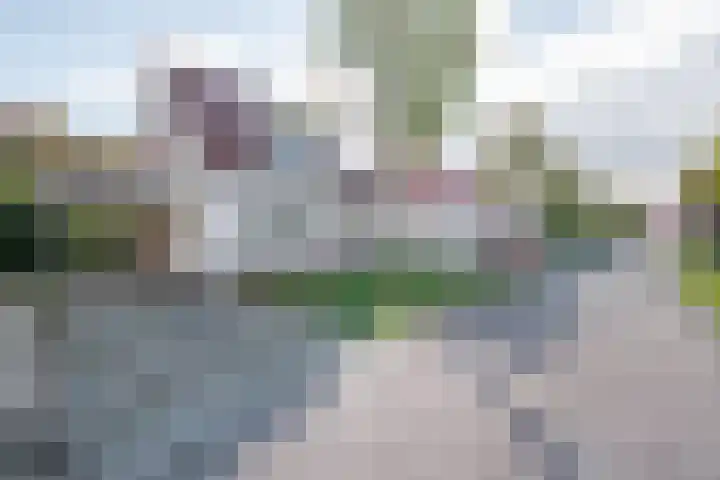in 't Broek 5 156 Stevensweert thumbnail 18