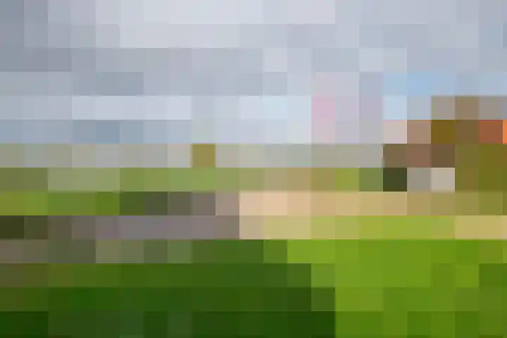 in 't Broek 5 156 Stevensweert thumbnail 21