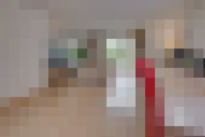 in 't Broek 5 156 Stevensweert thumbnail 5
