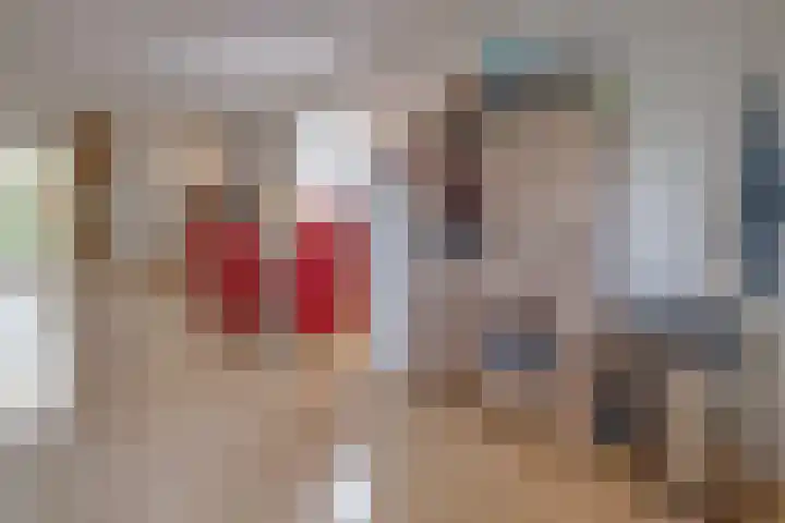 in 't Broek 5 156 Stevensweert thumbnail 6
