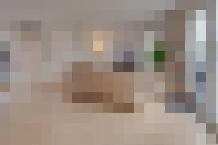 in 't Broek 5 156 Stevensweert thumbnail 8