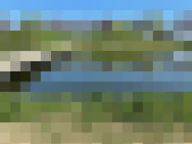 in 't Broek 5 188 Stevensweert thumbnail 18
