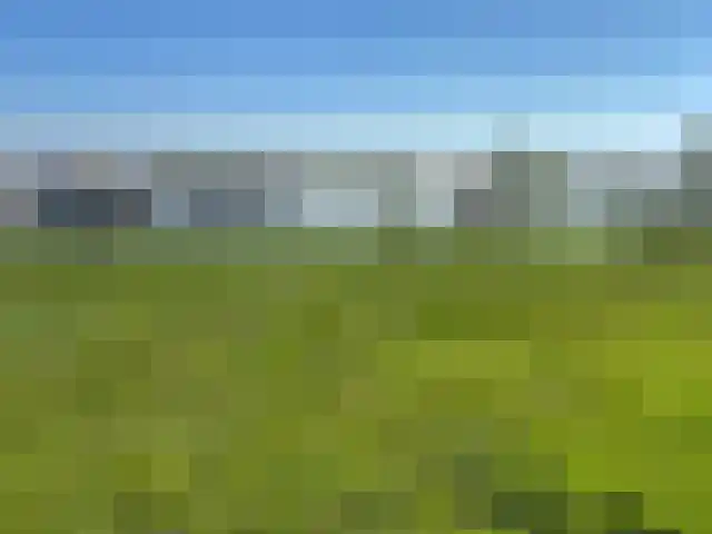 in 't Broek 5 188 Stevensweert thumbnail 20