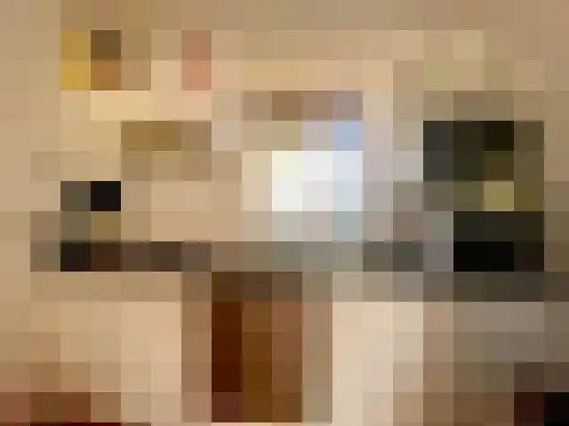 in 't Broek 5 188 Stevensweert thumbnail 6