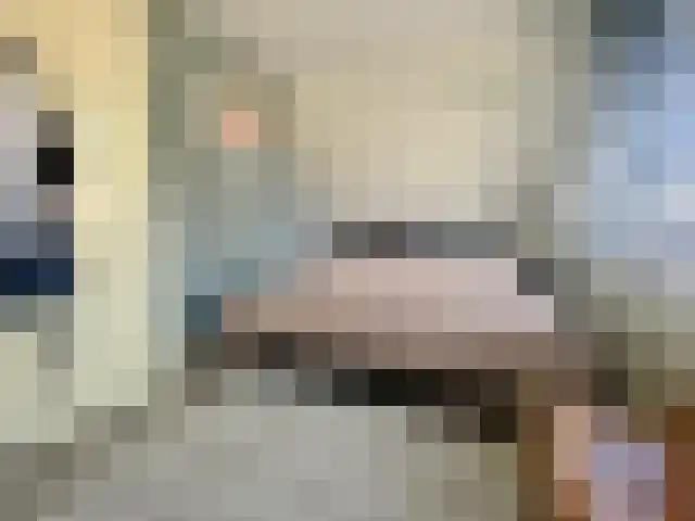 in 't Broek 5 188 Stevensweert thumbnail 7