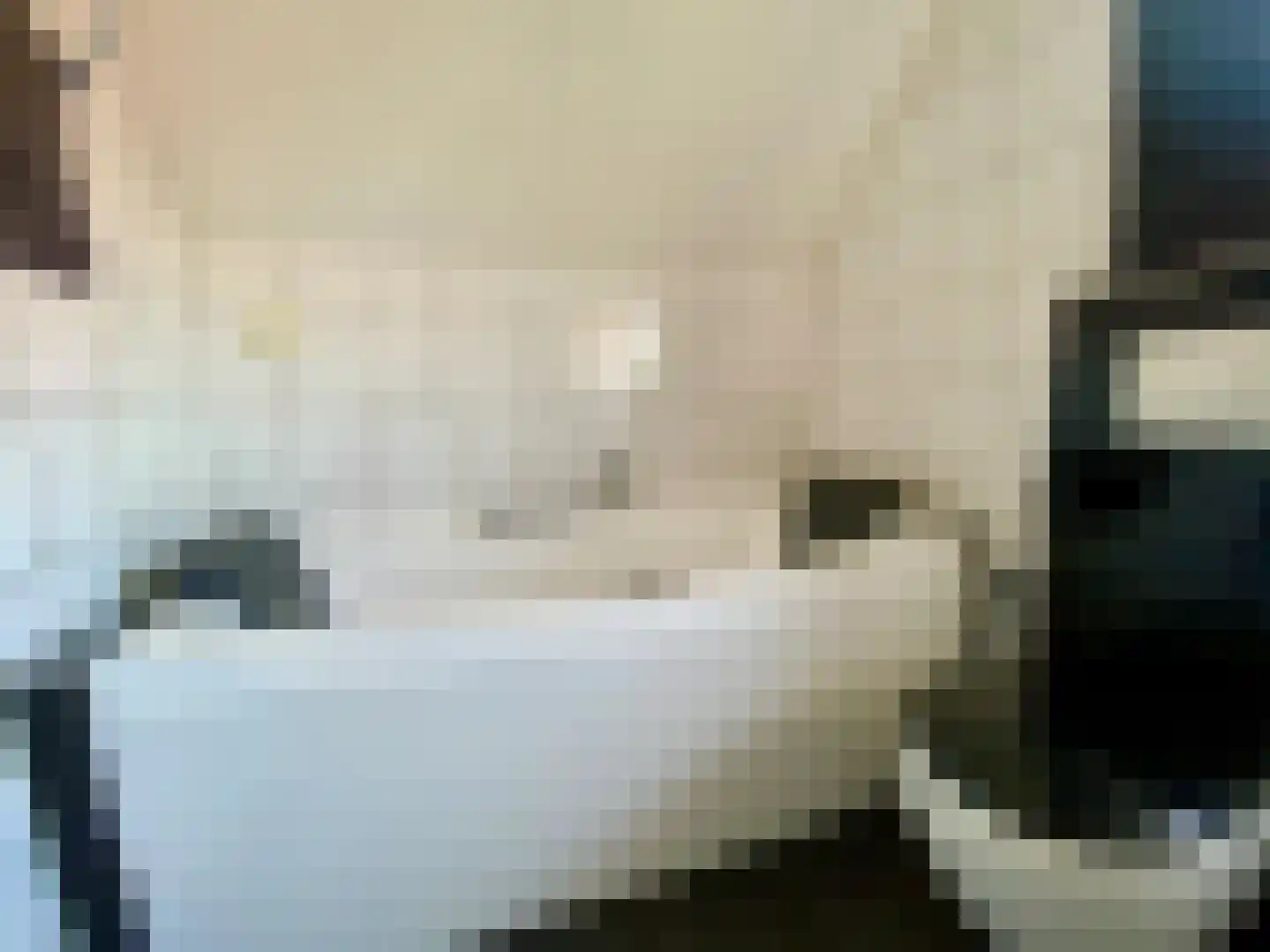 in 't Broek 5 58 Stevensweert thumbnail 17
