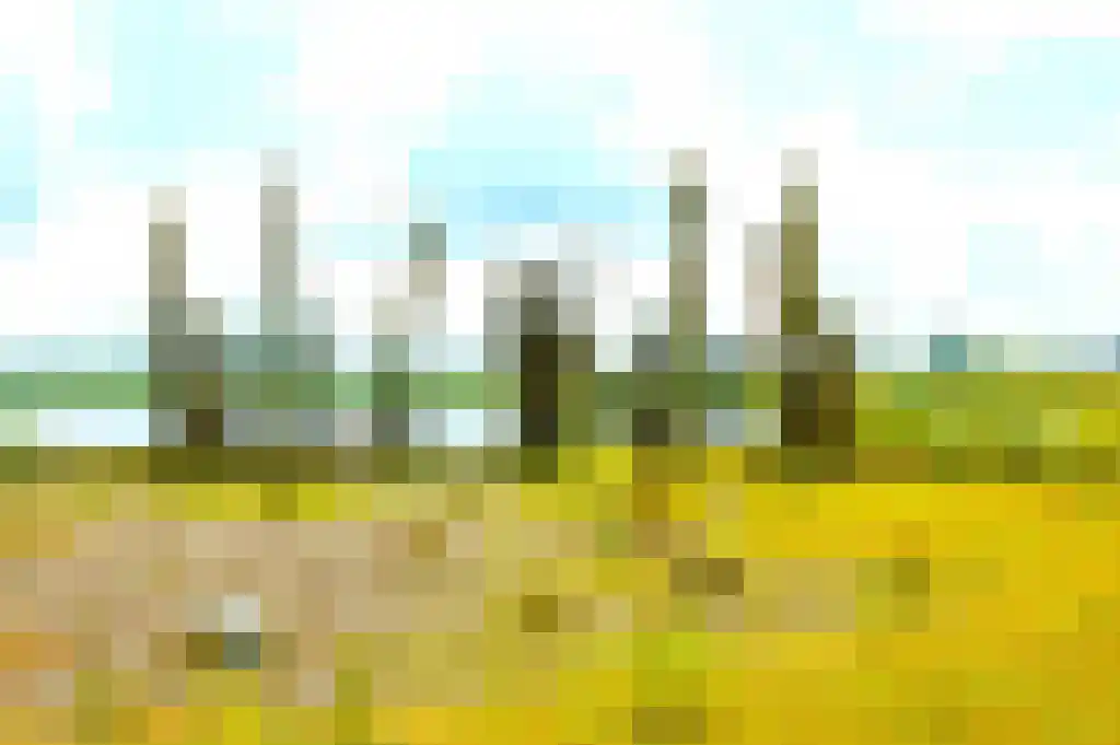 in 't Broek 5 58 Stevensweert thumbnail 37