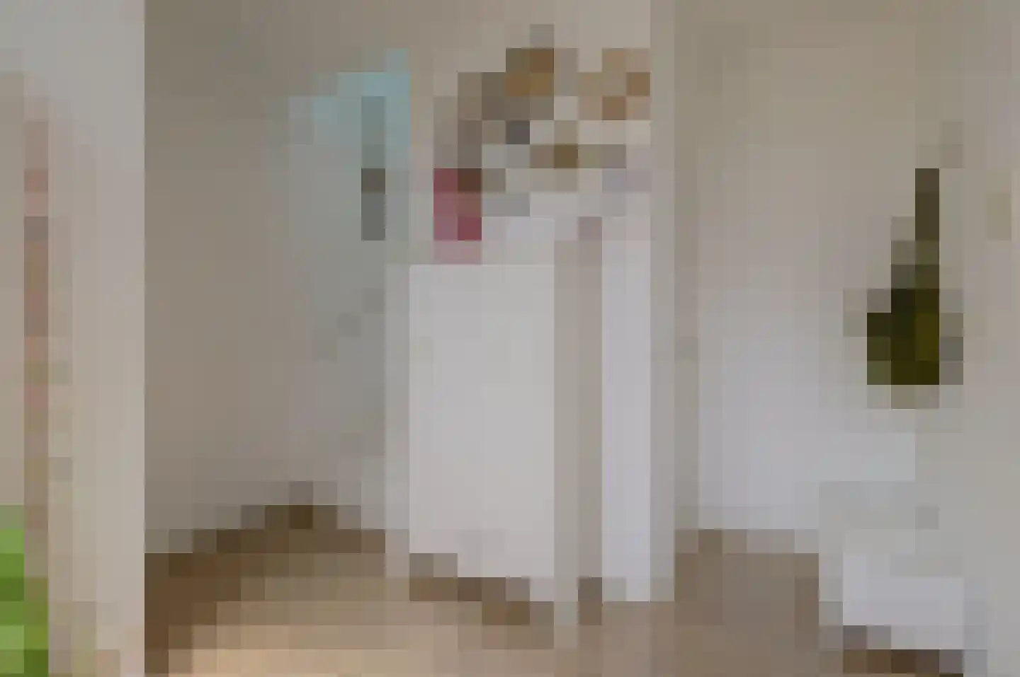 In 't Hoefijzer 31 Cuijk thumbnail 13