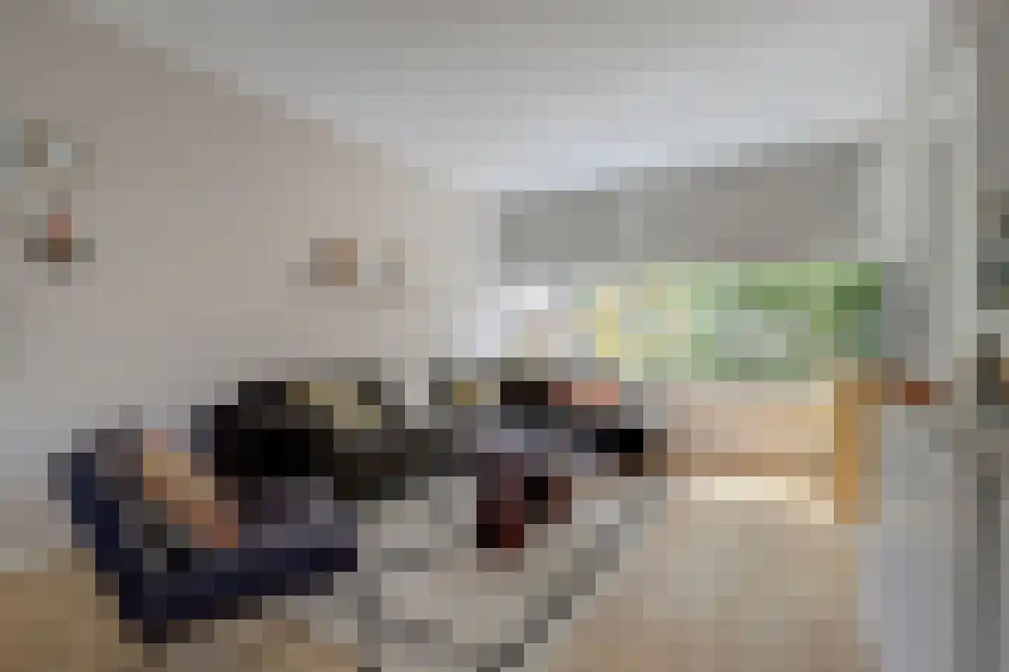 In 't Hoefijzer 31 Cuijk thumbnail 14