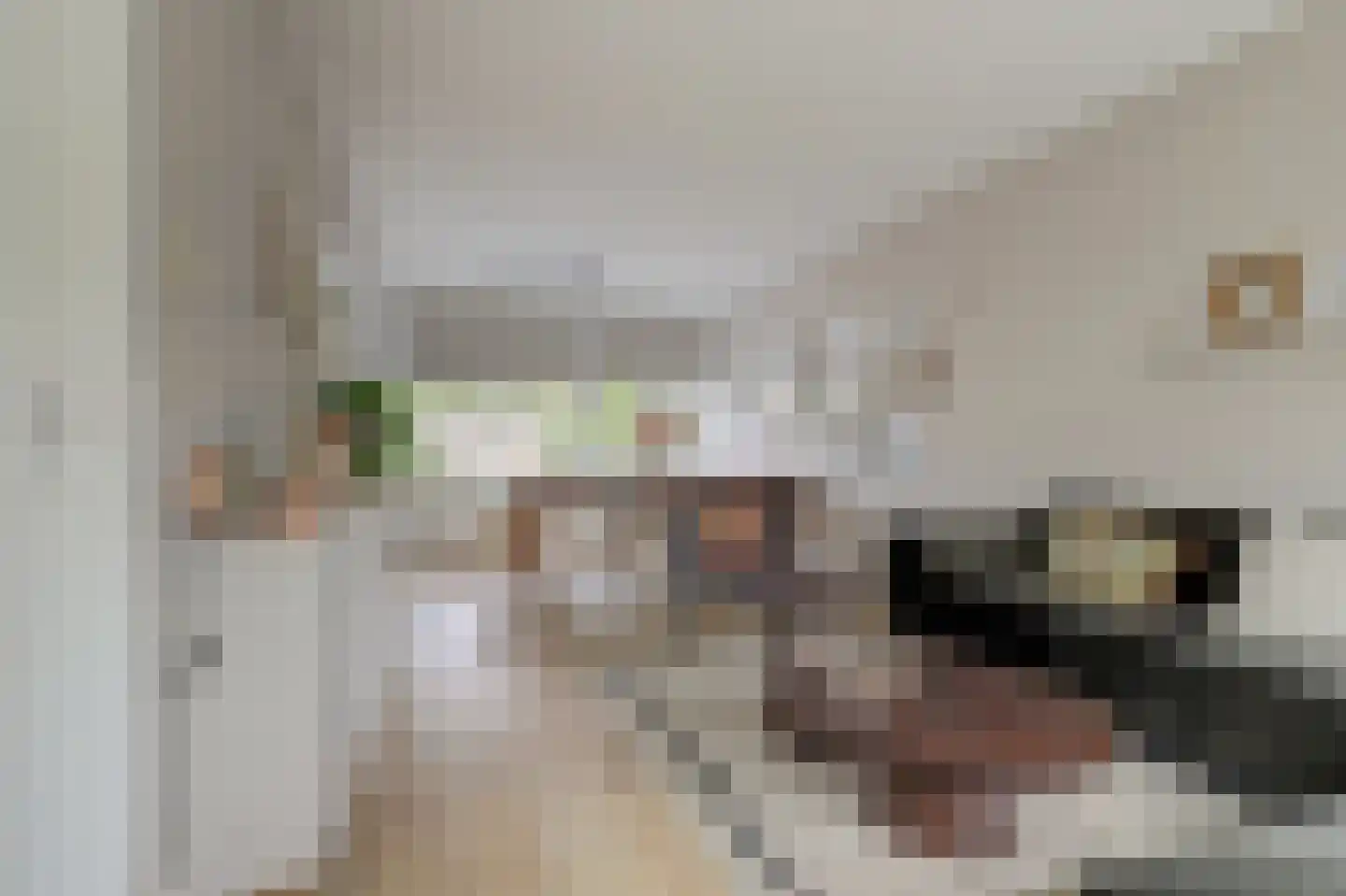 In 't Hoefijzer 31 Cuijk thumbnail 16