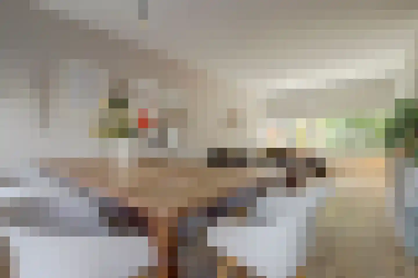 In 't Hoefijzer 31 Cuijk thumbnail 19