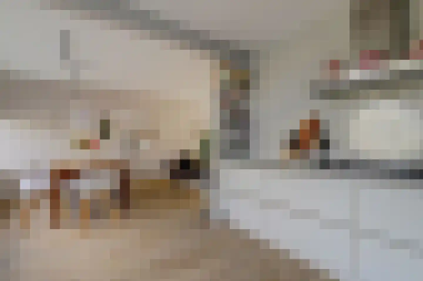 In 't Hoefijzer 31 Cuijk thumbnail 23