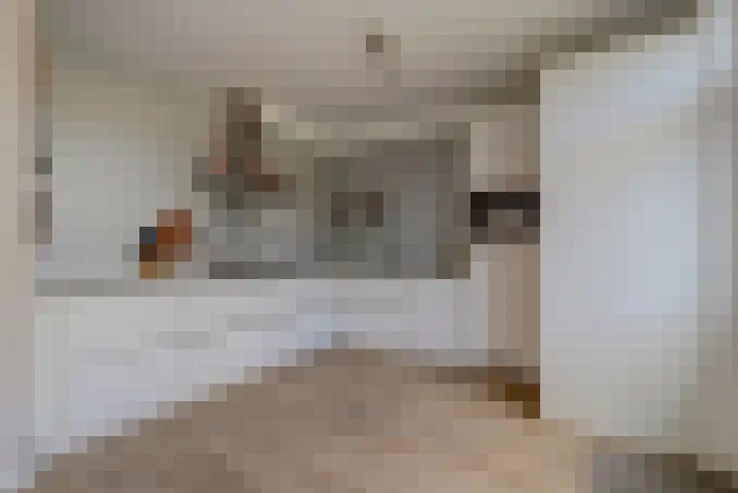 In 't Hoefijzer 31 Cuijk thumbnail 25