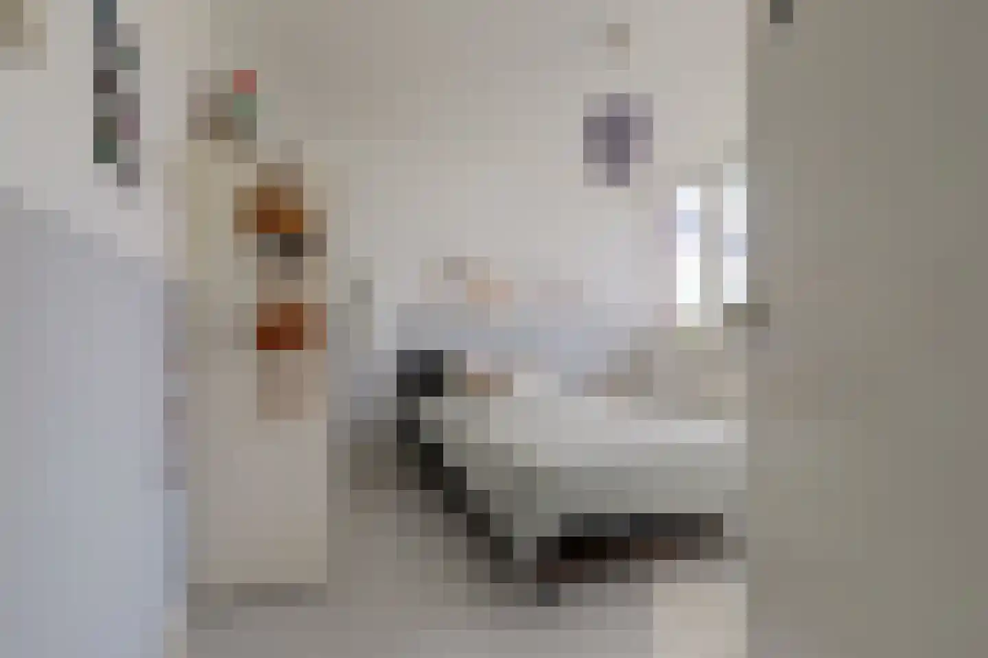 In 't Hoefijzer 31 Cuijk thumbnail 31