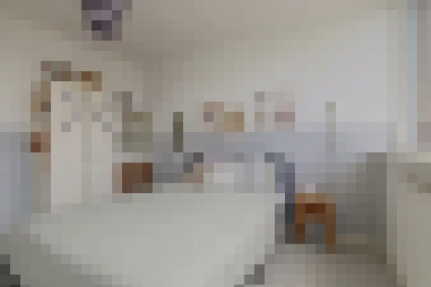 In 't Hoefijzer 31 Cuijk thumbnail 33