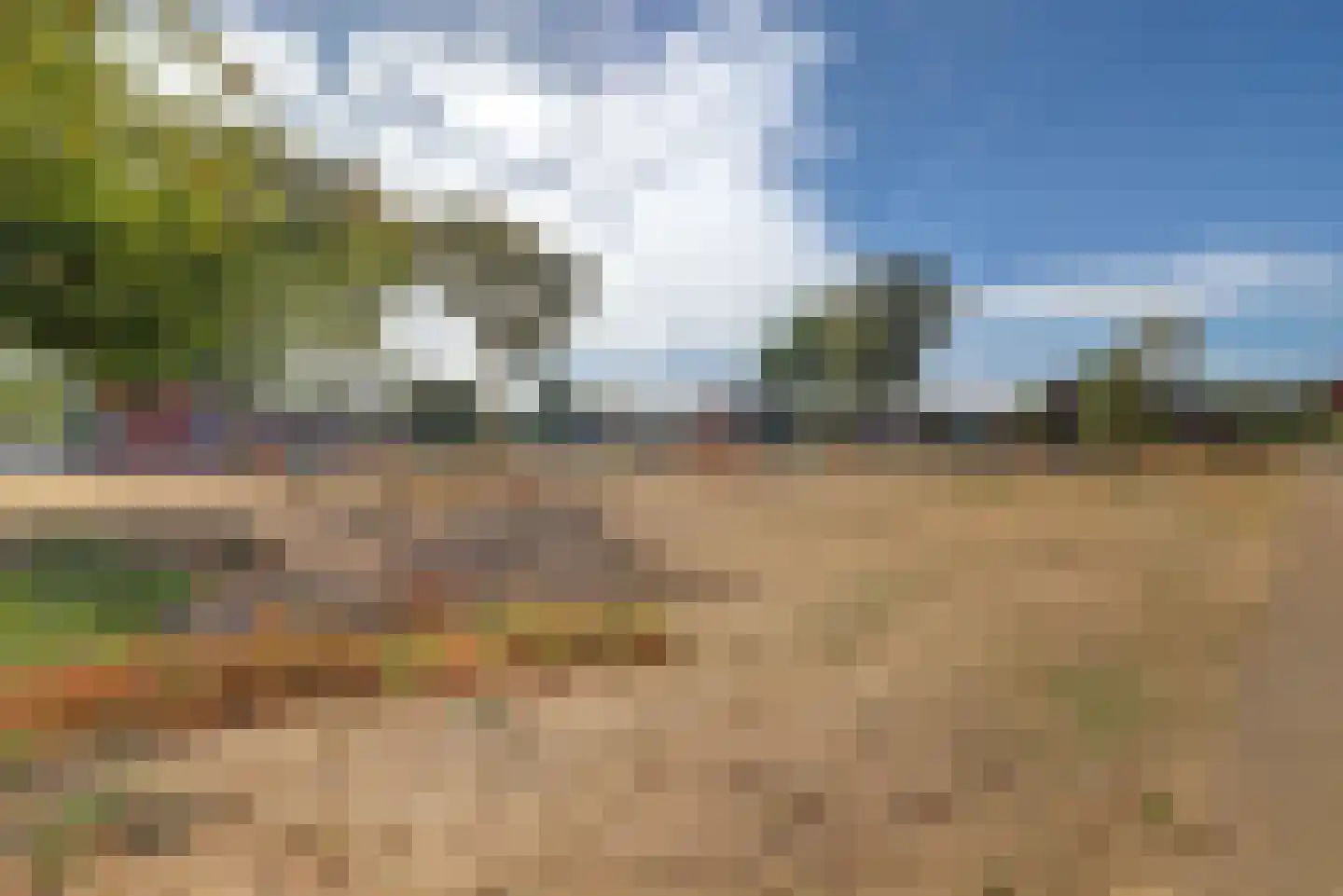 In 't Hoefijzer 31 Cuijk thumbnail 51