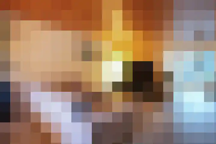 In 't Oord 3 Vaals thumbnail 4