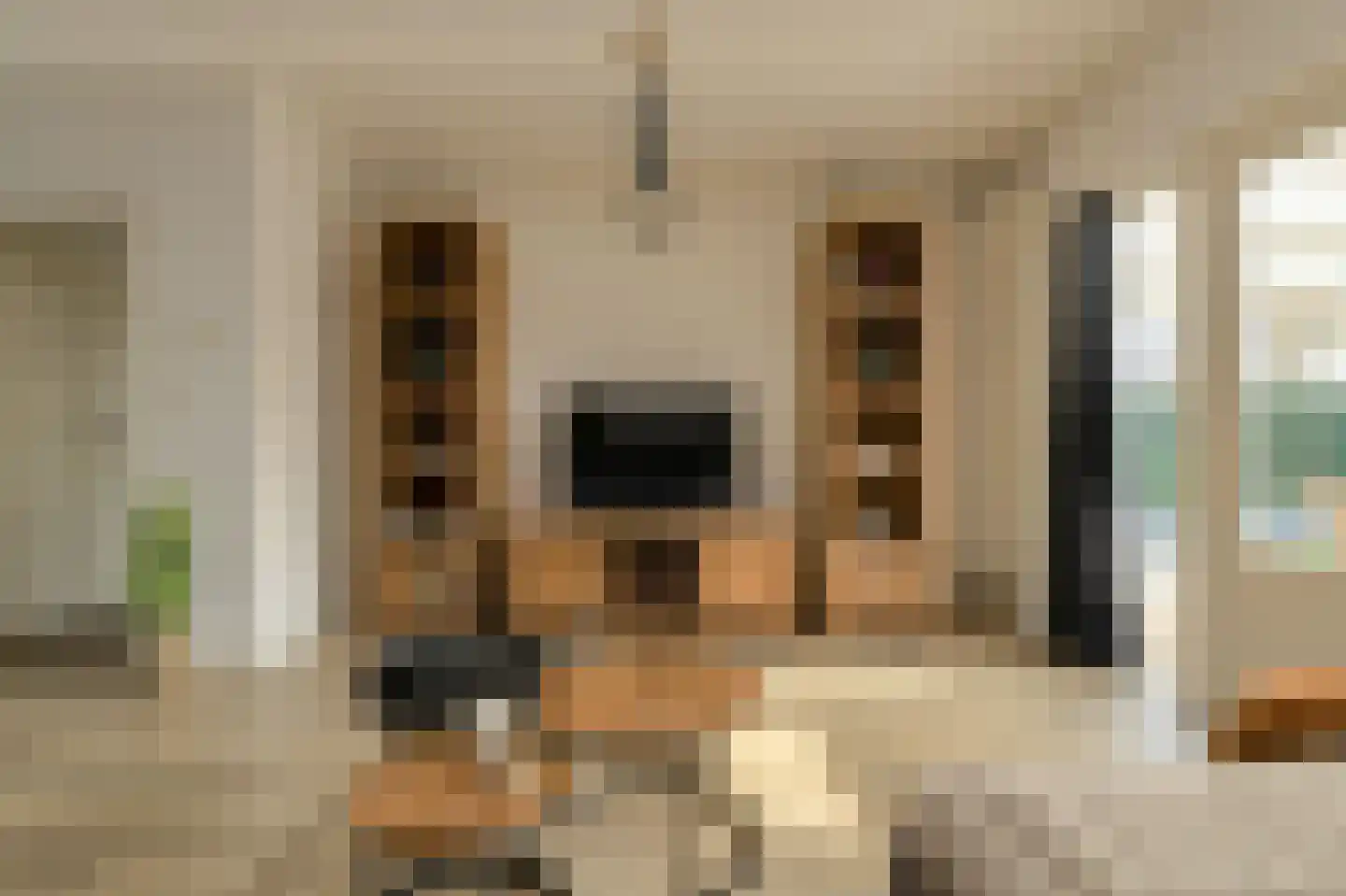 In 't Rietwerf 32 Hank thumbnail 17