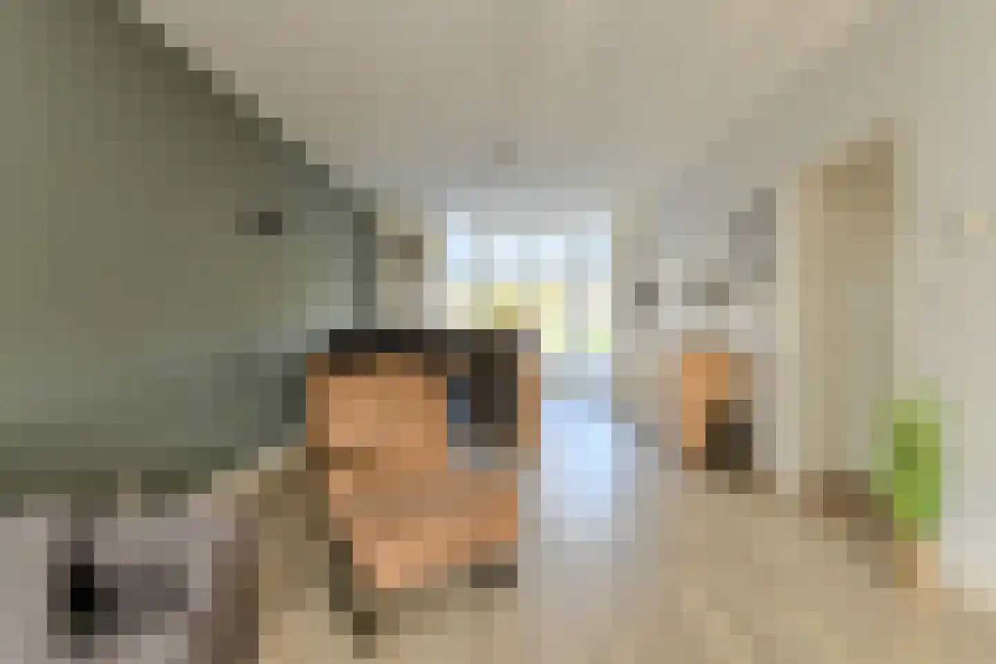 In 't Rietwerf 32 Hank thumbnail 19