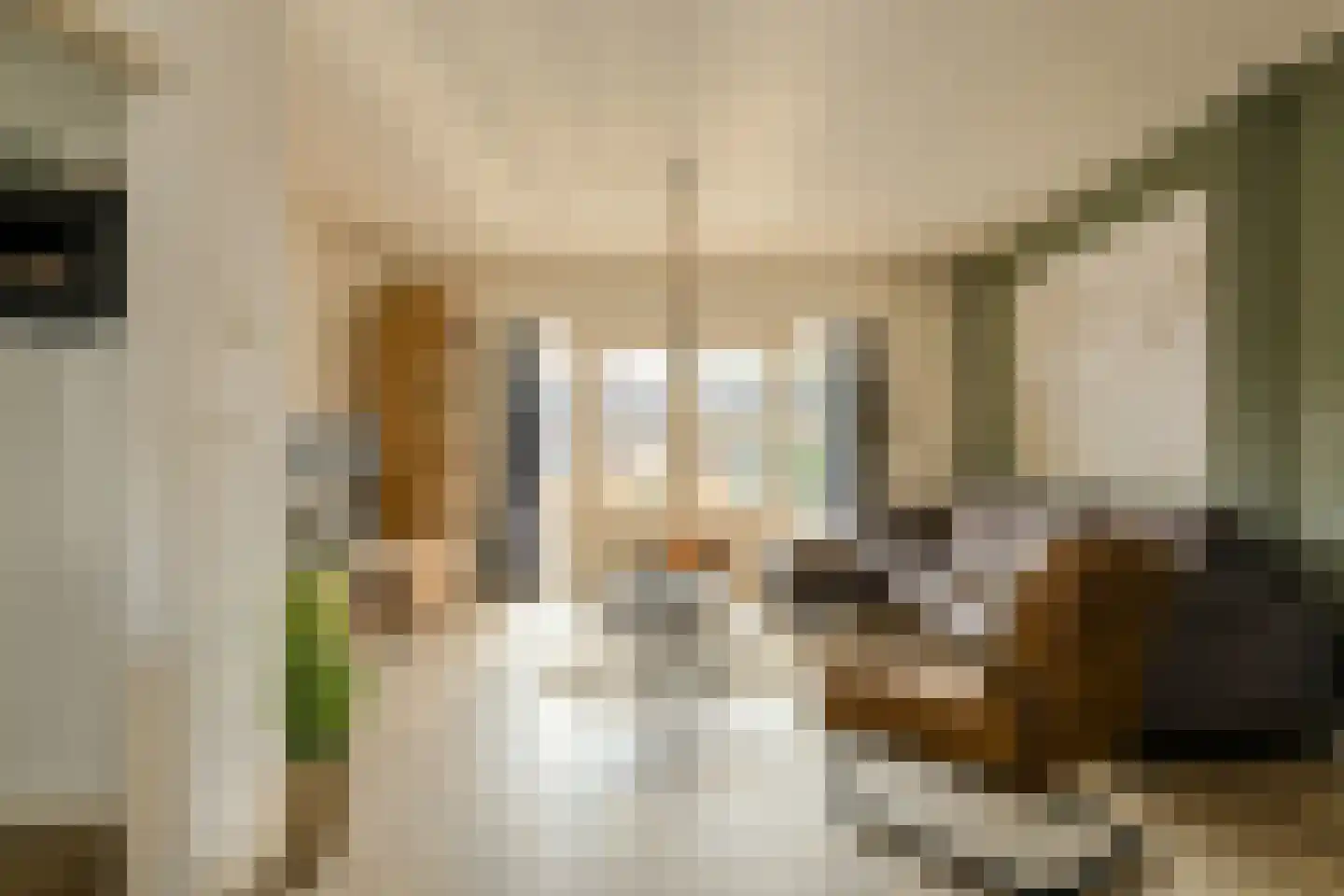 In 't Rietwerf 32 Hank thumbnail 23