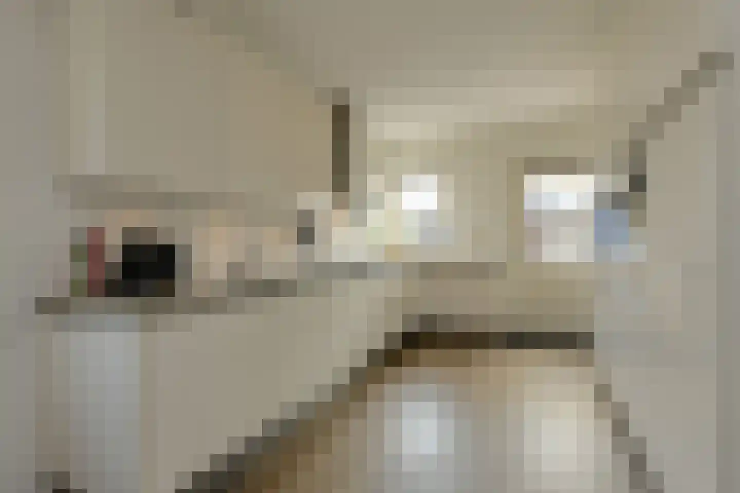 In 't Rietwerf 32 Hank thumbnail 25