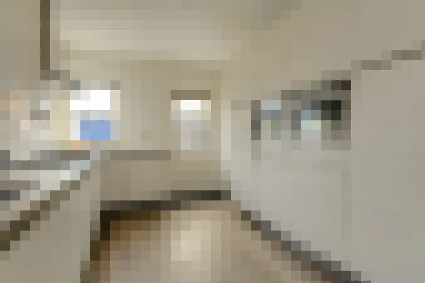 In 't Rietwerf 32 Hank thumbnail 26
