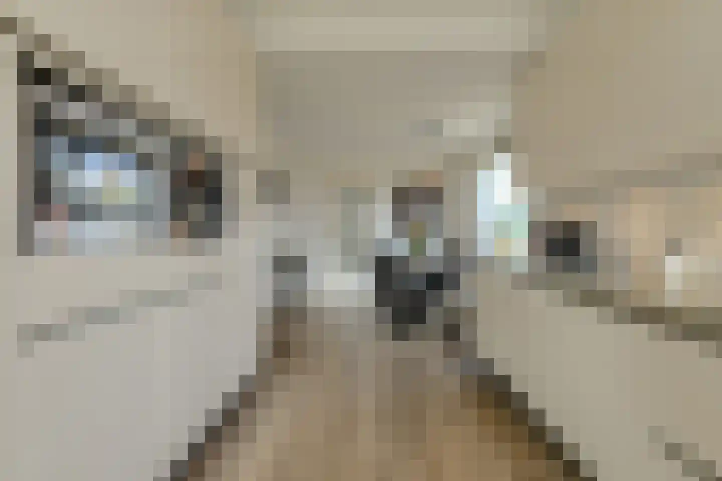 In 't Rietwerf 32 Hank thumbnail 27