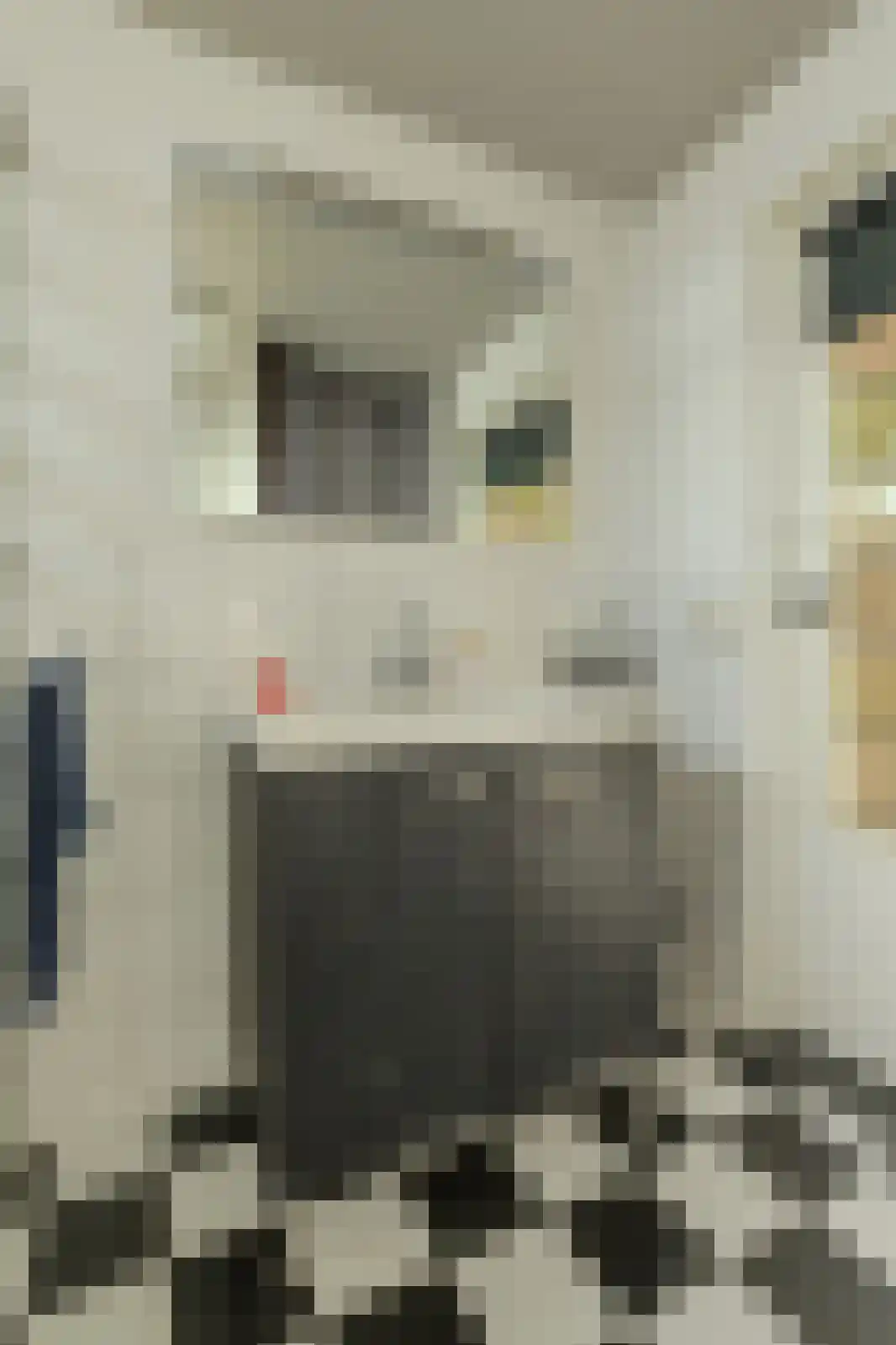 In 't Rietwerf 32 Hank thumbnail 37