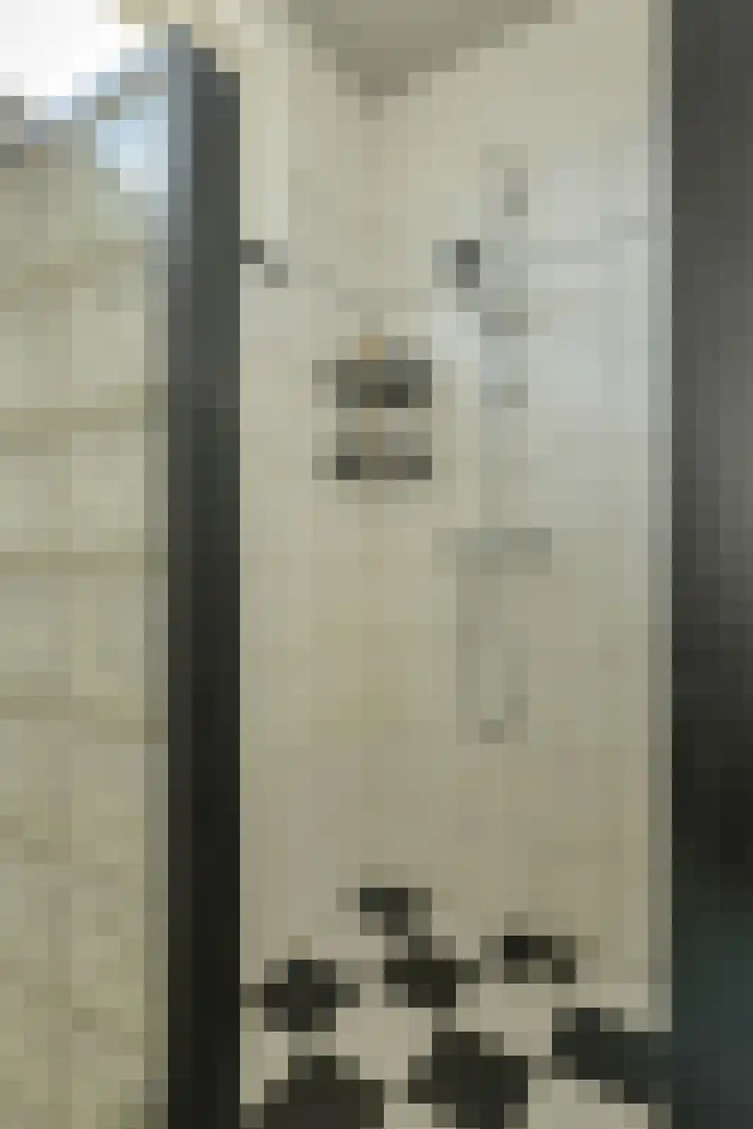 In 't Rietwerf 32 Hank thumbnail 38