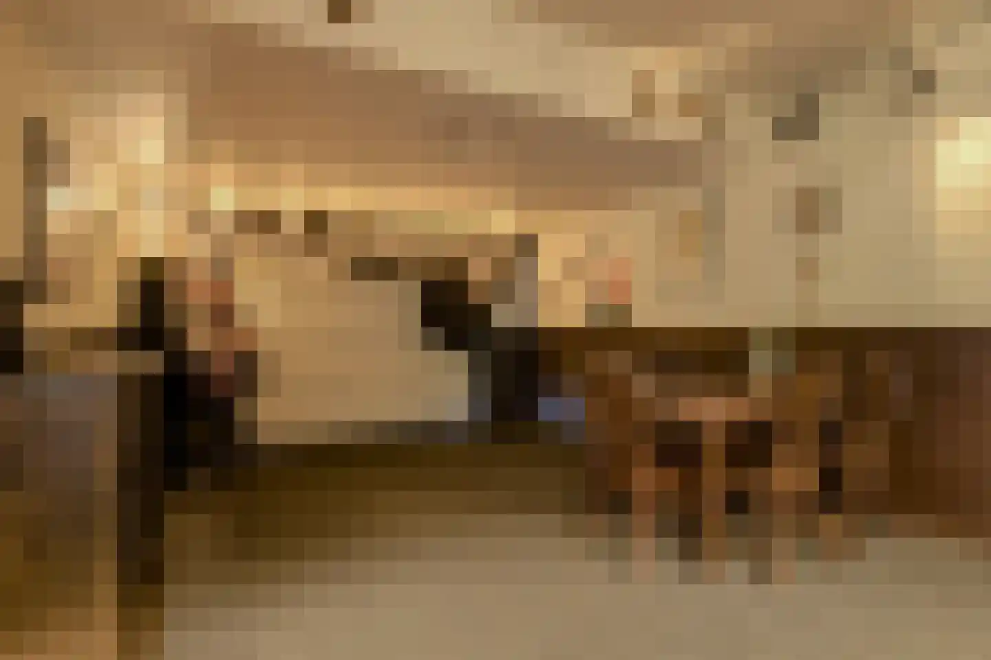 In 't Rietwerf 32 Hank thumbnail 54