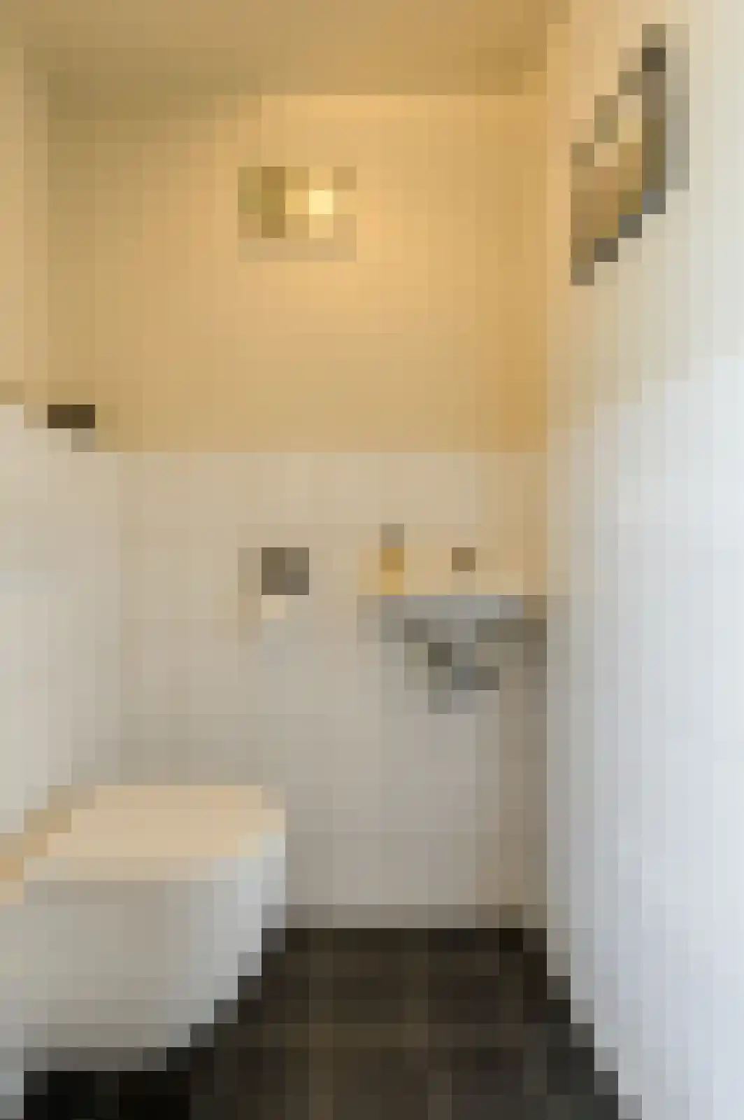 In 't Rietwerf 32 Hank thumbnail 55