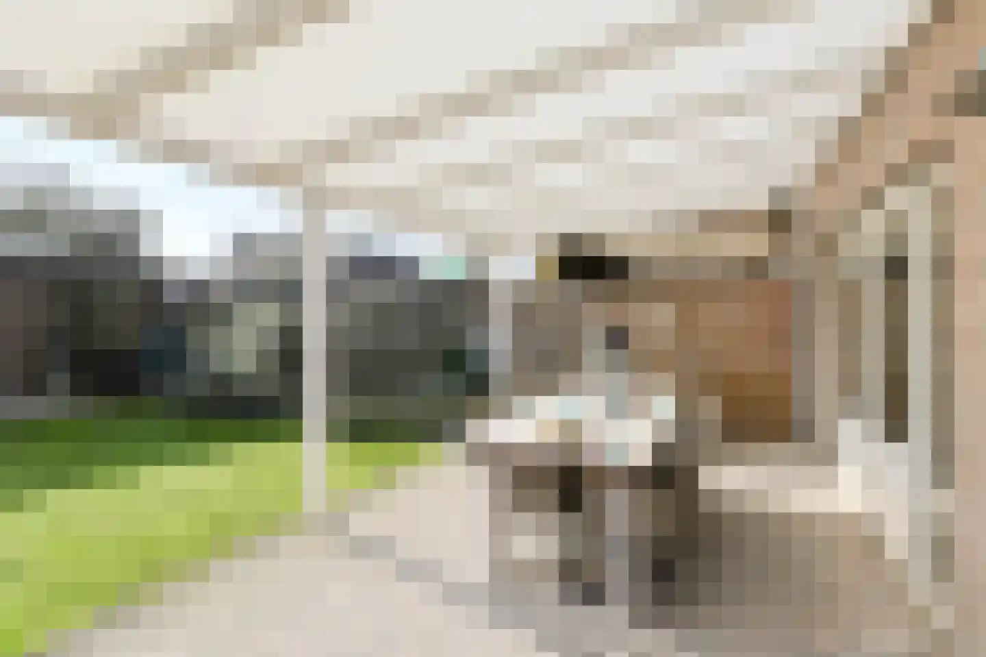 In 't Rietwerf 32 Hank thumbnail 59