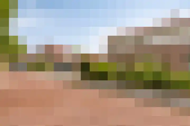 In 't Rietwerf 36 Hank thumbnail 10