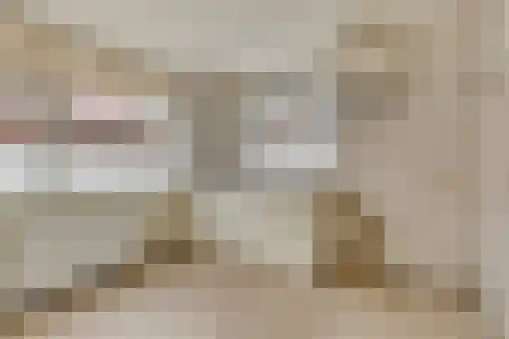 In 't Rietwerf 36 Hank thumbnail 14