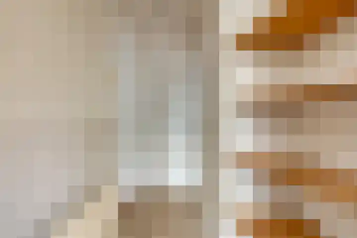In 't Rietwerf 36 Hank thumbnail 15