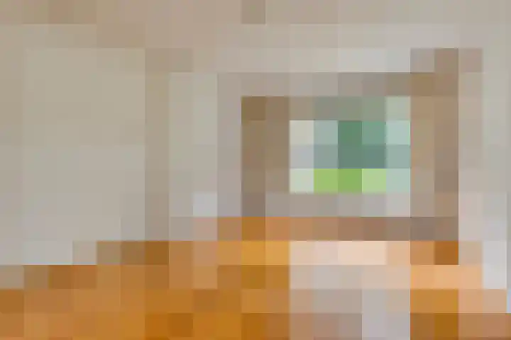 In 't Rietwerf 36 Hank thumbnail 16
