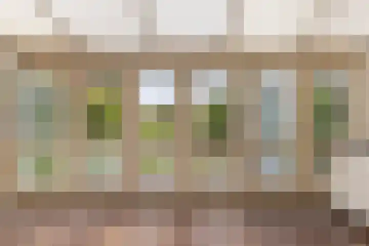 In 't Rietwerf 36 Hank thumbnail 22