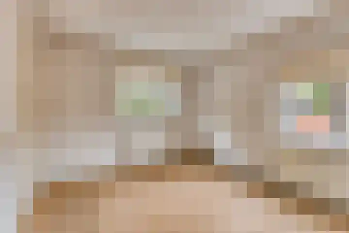 In 't Rietwerf 36 Hank thumbnail 25