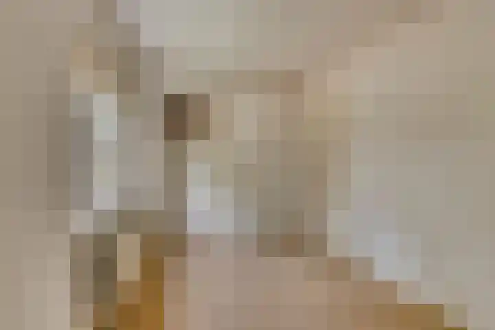 In 't Rietwerf 36 Hank thumbnail 33