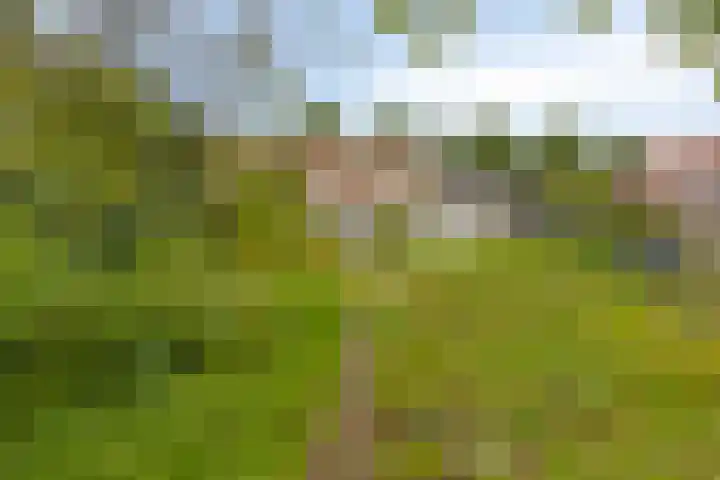 In 't Rietwerf 36 Hank thumbnail 38