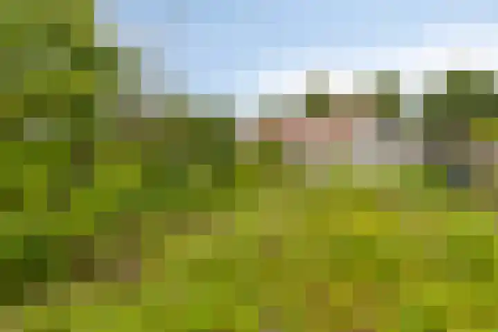 In 't Rietwerf 36 Hank thumbnail 39
