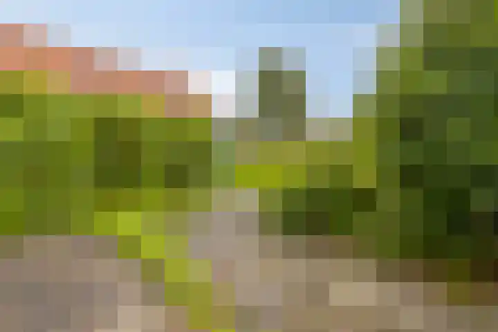 In 't Rietwerf 36 Hank thumbnail 40